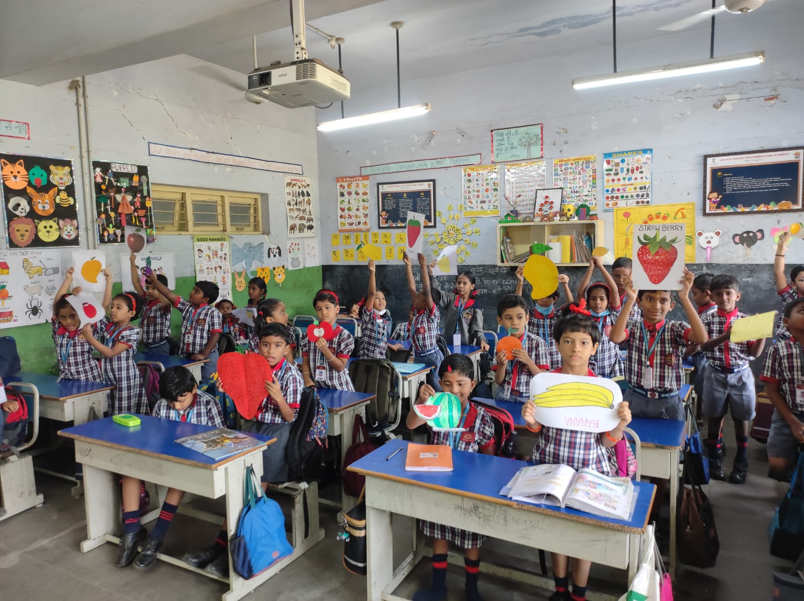 FRUIT CUTOUT DISCOVERY