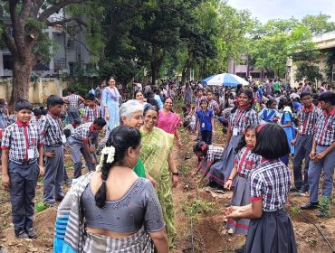 PLANTATION