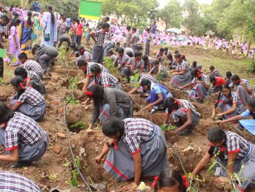 PLANTATION