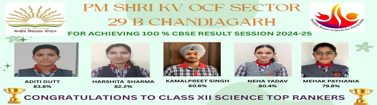 WhatsApp Image 2025-05-17 at 12.17.22 AM