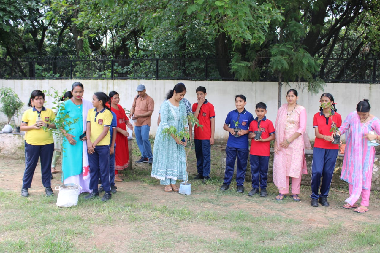 WhatsApp Image 2025-07-05 at 1.17.03 PM (23)