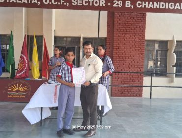 RSM (14)