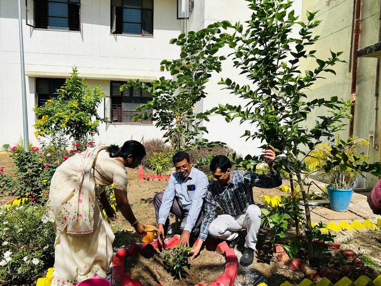 पेड़ लगाना