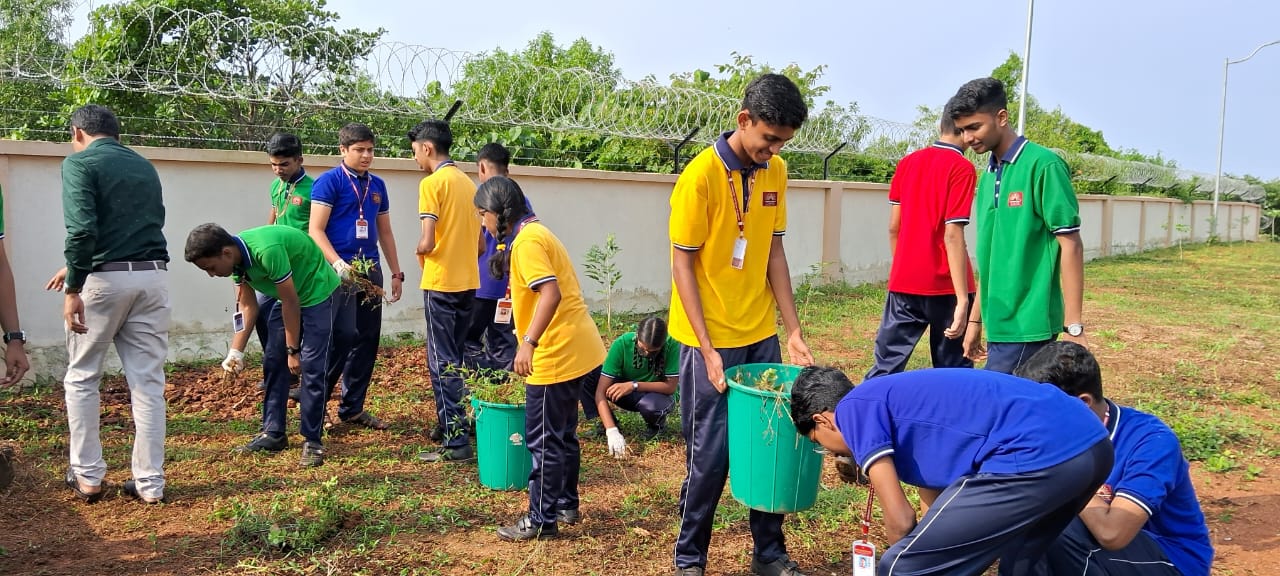 स्वच्छता गतिविधियाँ