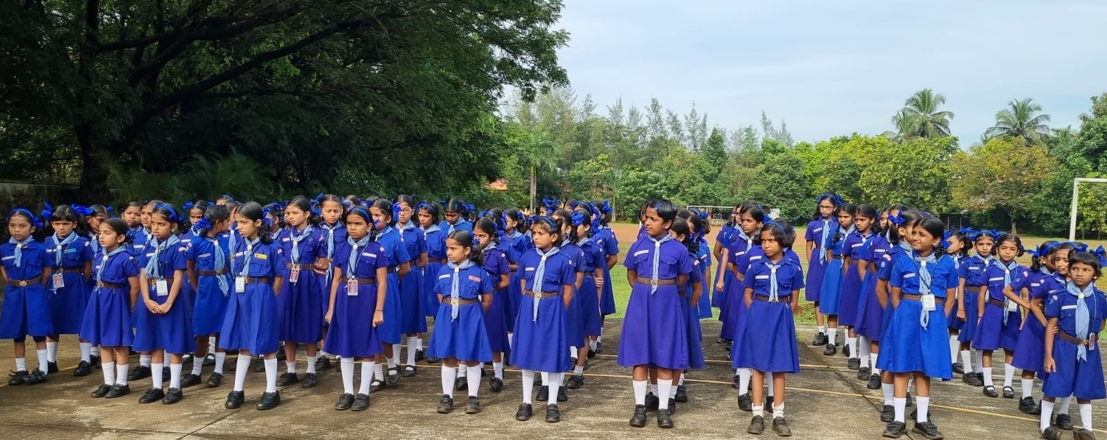 बुलबुल गतिविधियाँ