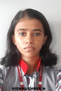 VISHNUSREE N