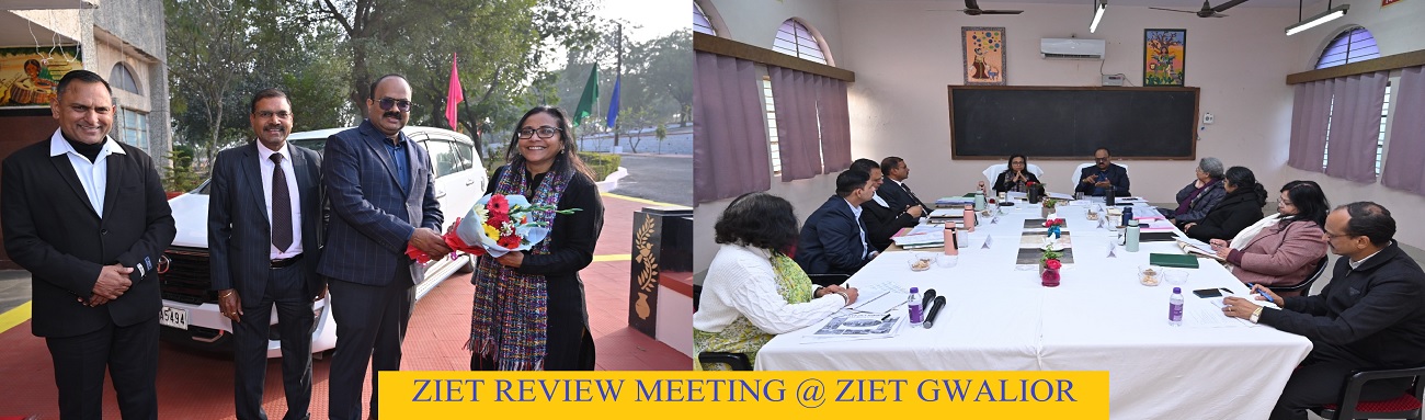 ziet review meeting