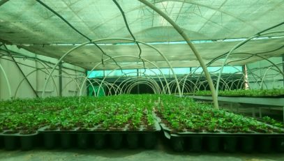 TERI-The-Energy-And-Resources-Institute-Gwal-Pahari-Gurgaon-3
