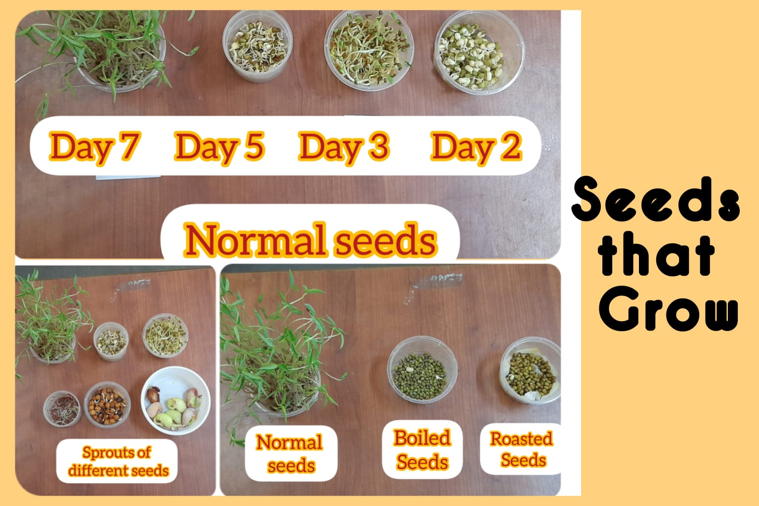 विद्यांजलि