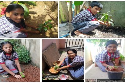 World Environment Day