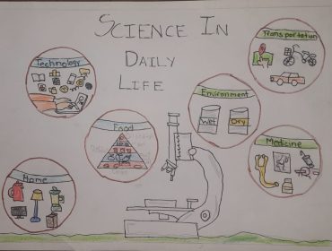 STEM