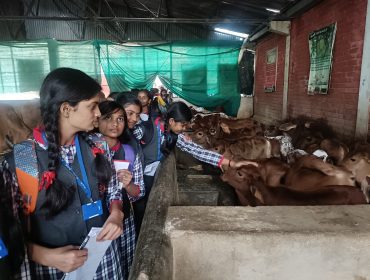 शैक्षिक भ्रमण