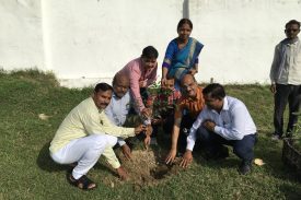 Plantation by Gram Pradhan