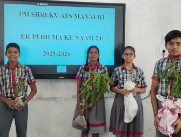 EK PED MAA KE NAAM