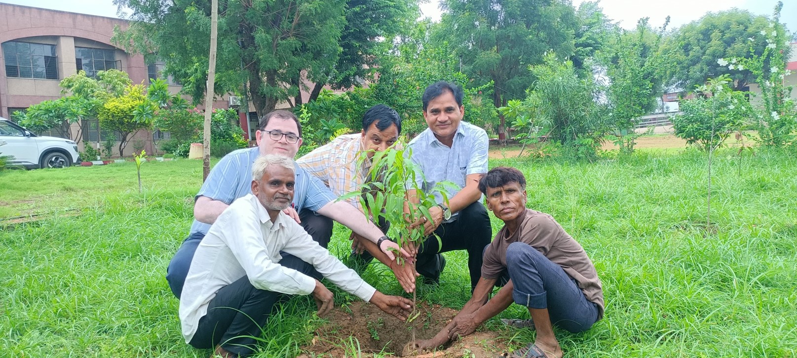 वृक्षारोपण