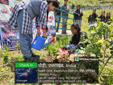 एक पेड़ माँ के नाम