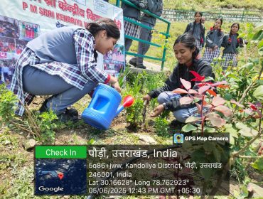 एक पेड़ माँ के नाम
