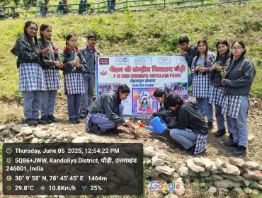 एक पेड़ माँ के नाम