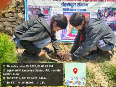 एक पेड़ माँ के नाम
