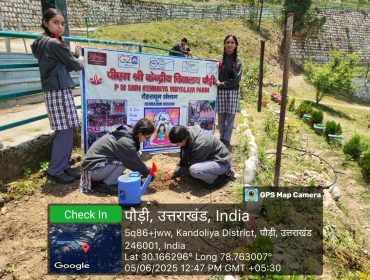एक पेड़ माँ के नाम