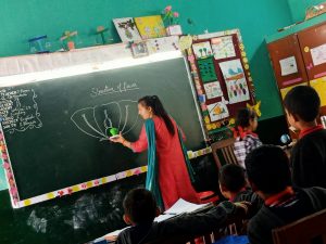 इंटरैक्टिव शिक्षण: फूल की संरचना का अन्वेषण
