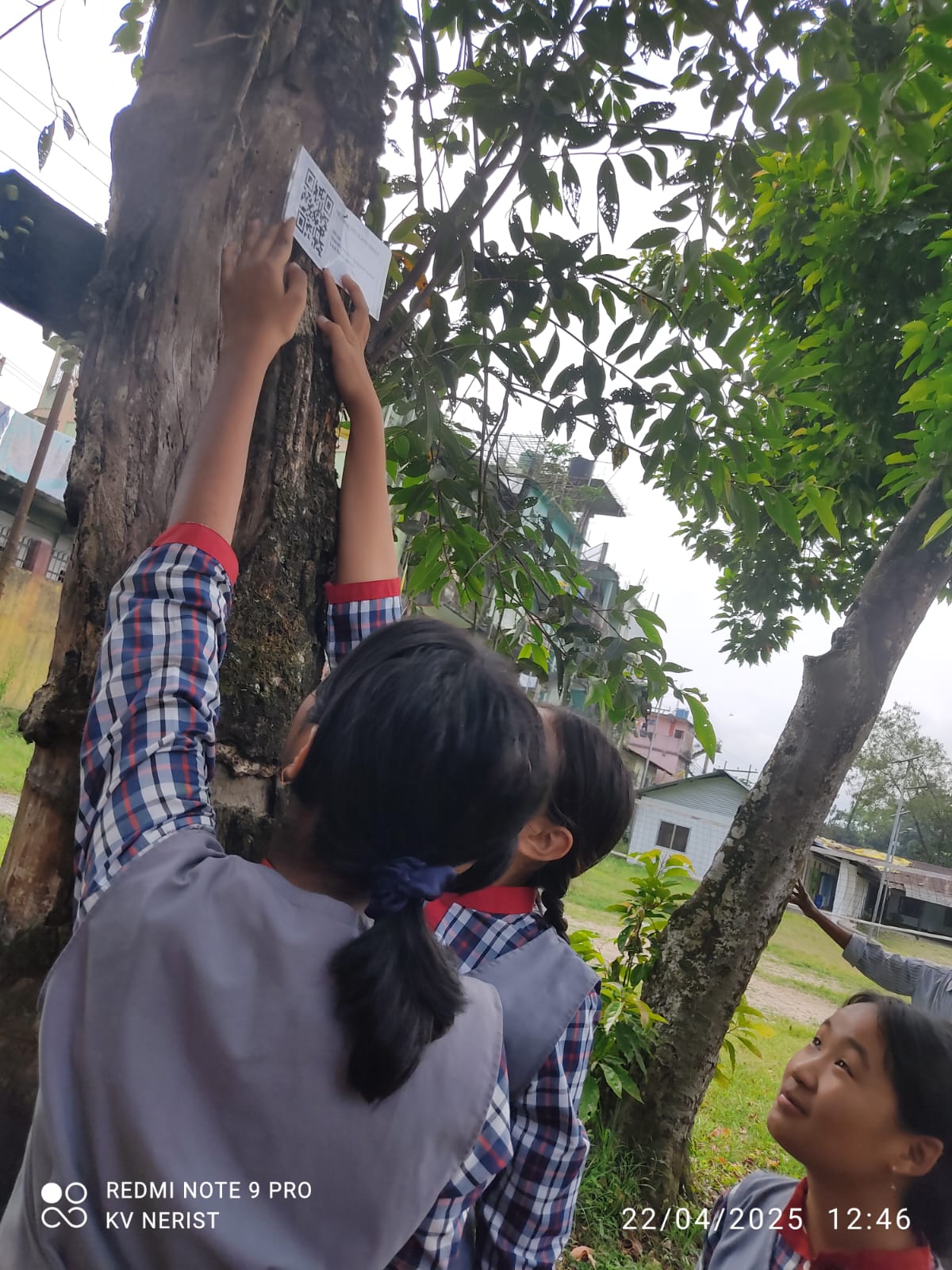 ECO CLUB QR CODE GENERATION