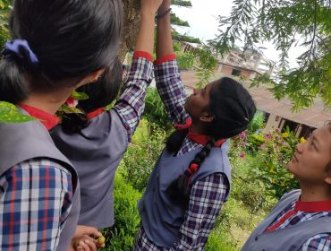 ईको क्लब क्यूआर कोड जनरेशन