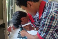 BIO LAB ACTIVITY