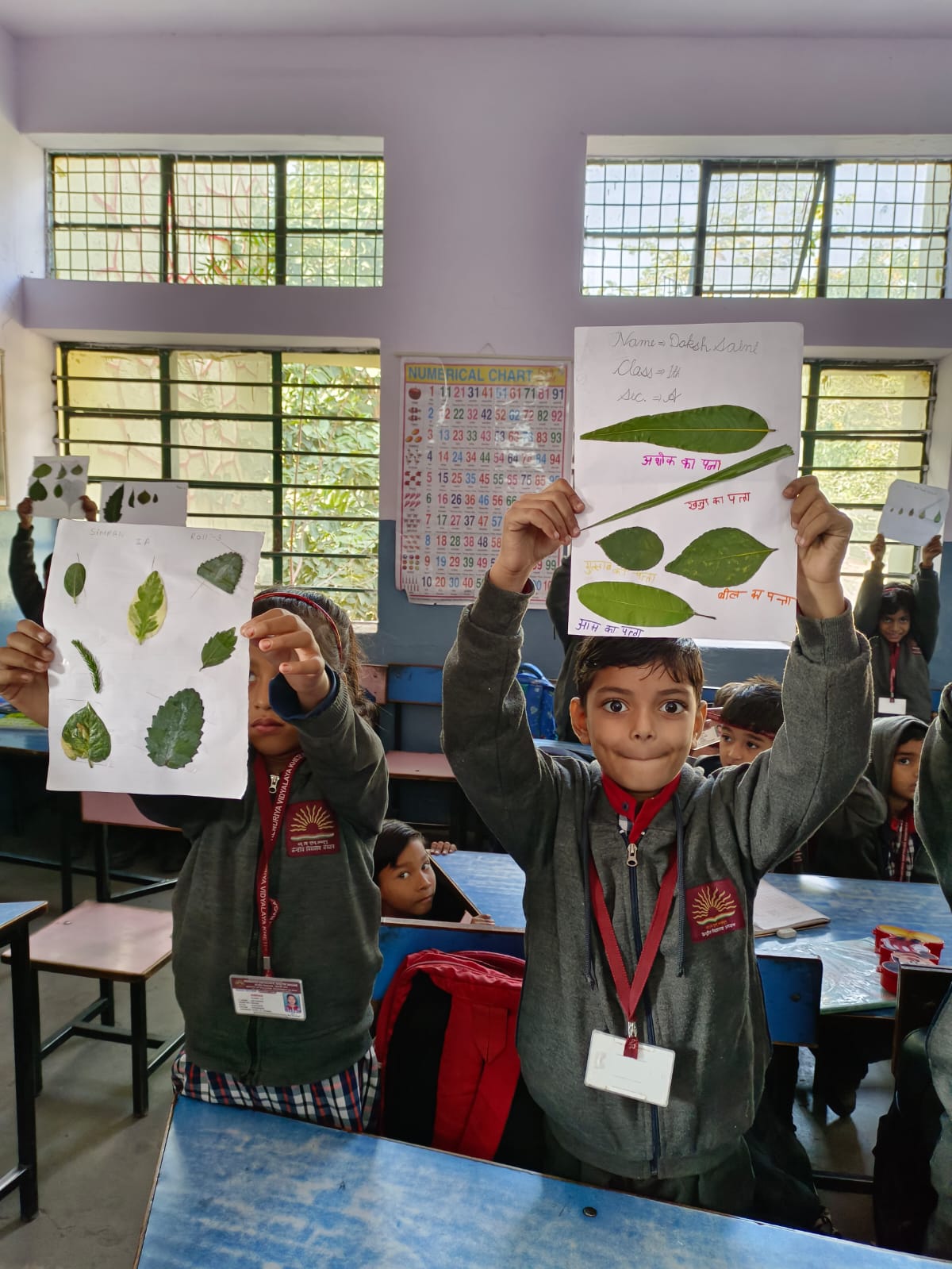 एफएलएन क्रियाकलाप