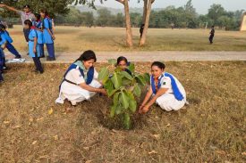 स्काउट एण्ड गाइड एक्टिविटीज