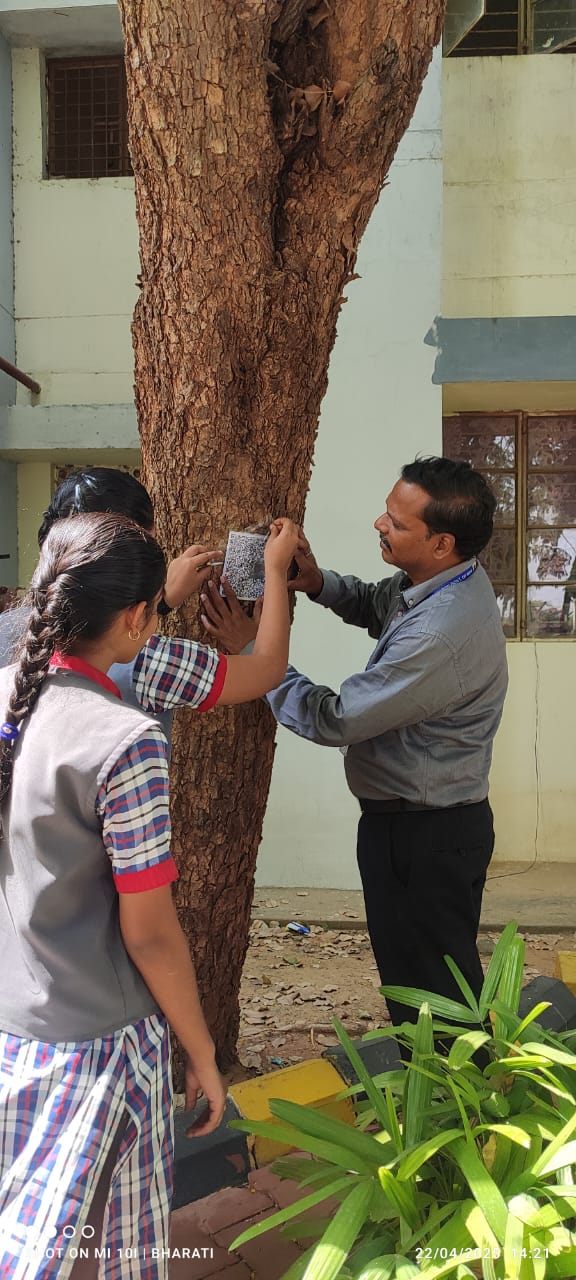 Eco Club 1