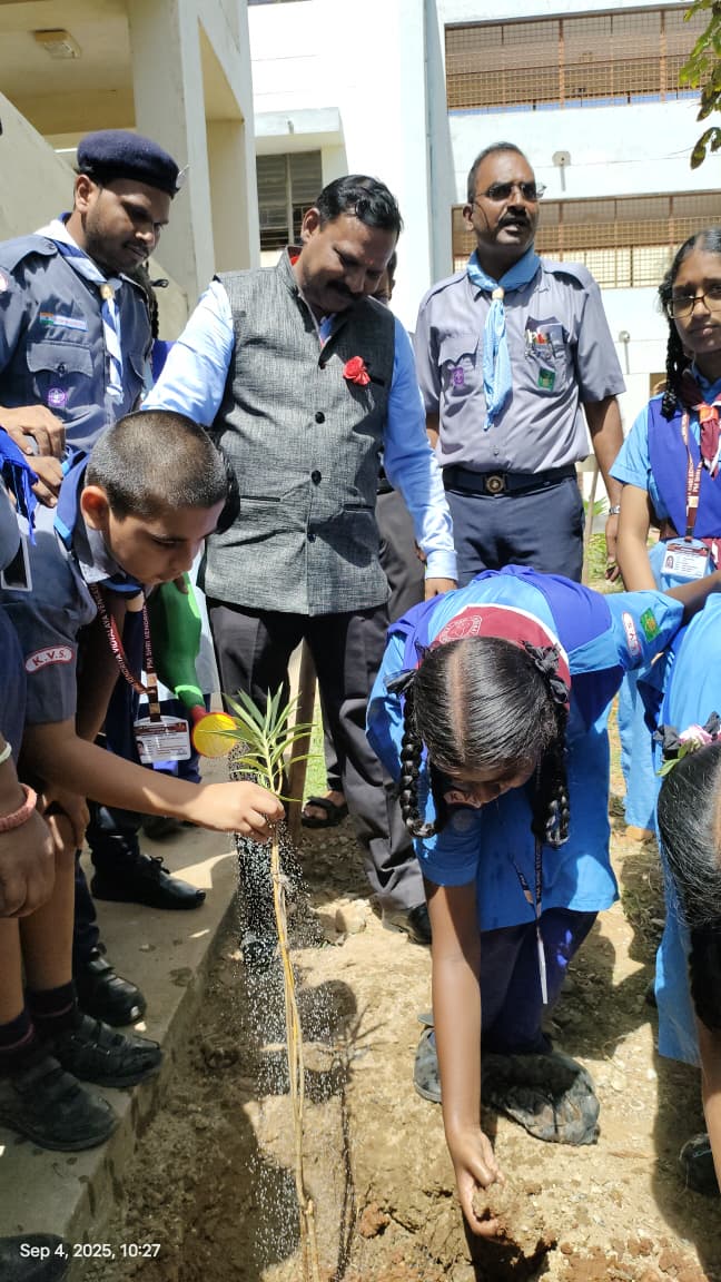 plant a tree
