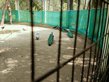 कक्षा 7 वेल्लोर चिड़ियाघर का भ्रमण