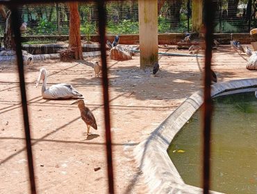 कक्षा 7 वेल्लोर चिड़ियाघर का भ्रमण