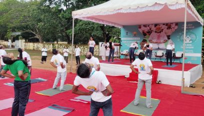 IDY Celebration 25