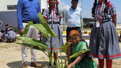 tree planting campaign