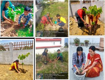 Plantation drive