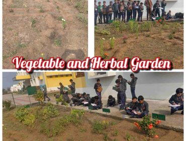 herbal garden