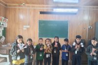 TOY BASED PEDAGOGY
