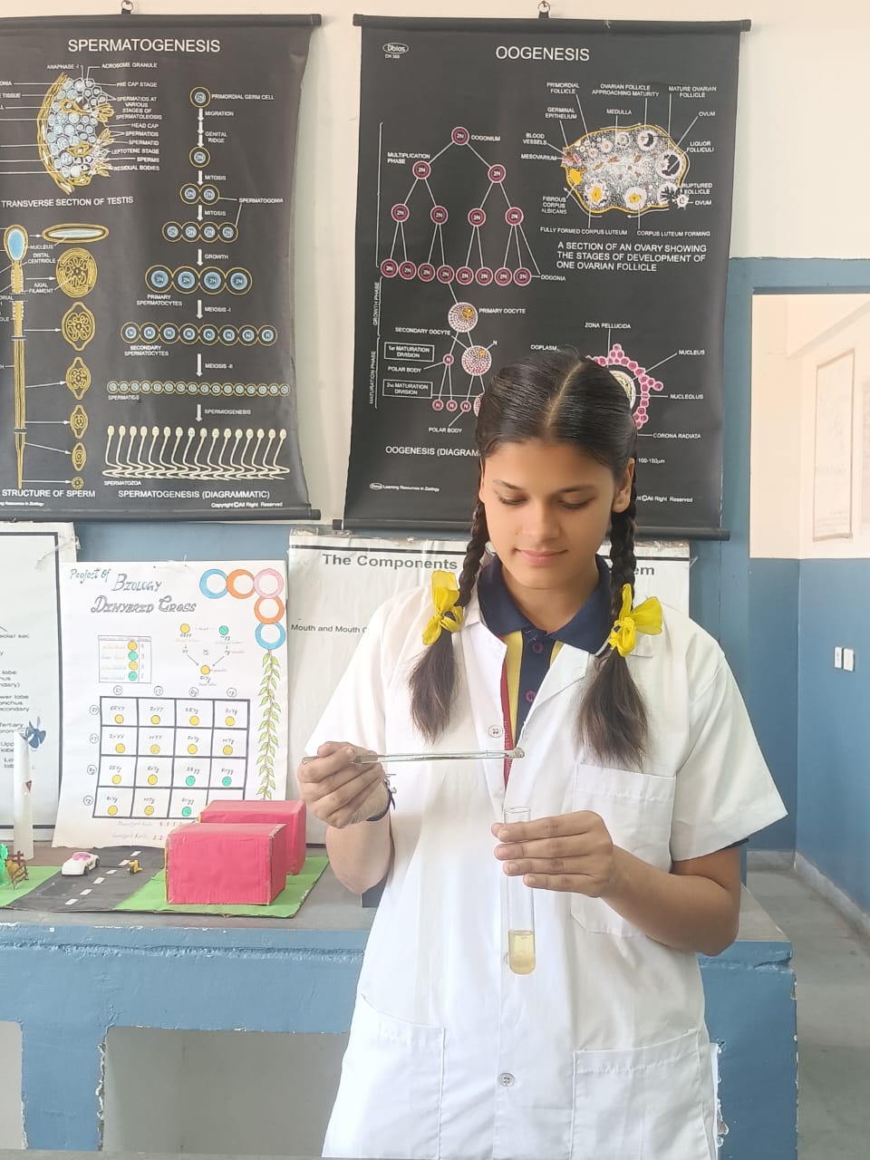 Developing Science Temperament