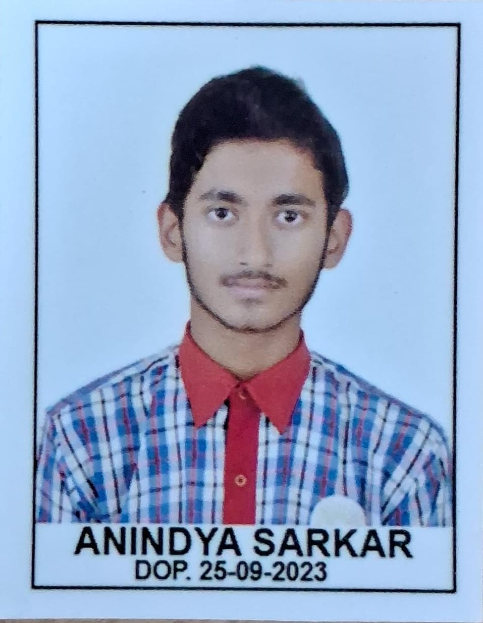 anindya sarkar