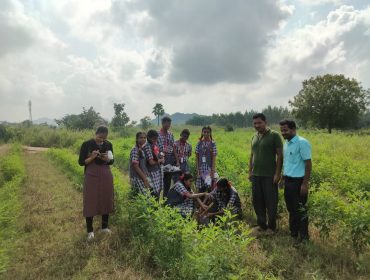 SOIL TESTING