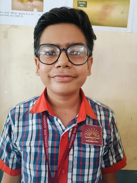 हमारे विद्यालय के टॉपर्स