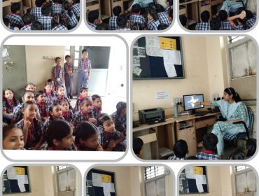 FLN Activity