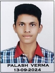 palash verma