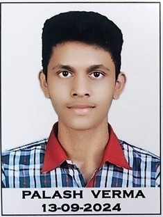 पलाश वर्मा