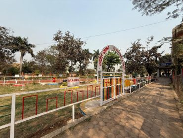 गणितीय बाग