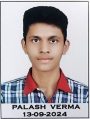 palash verma
