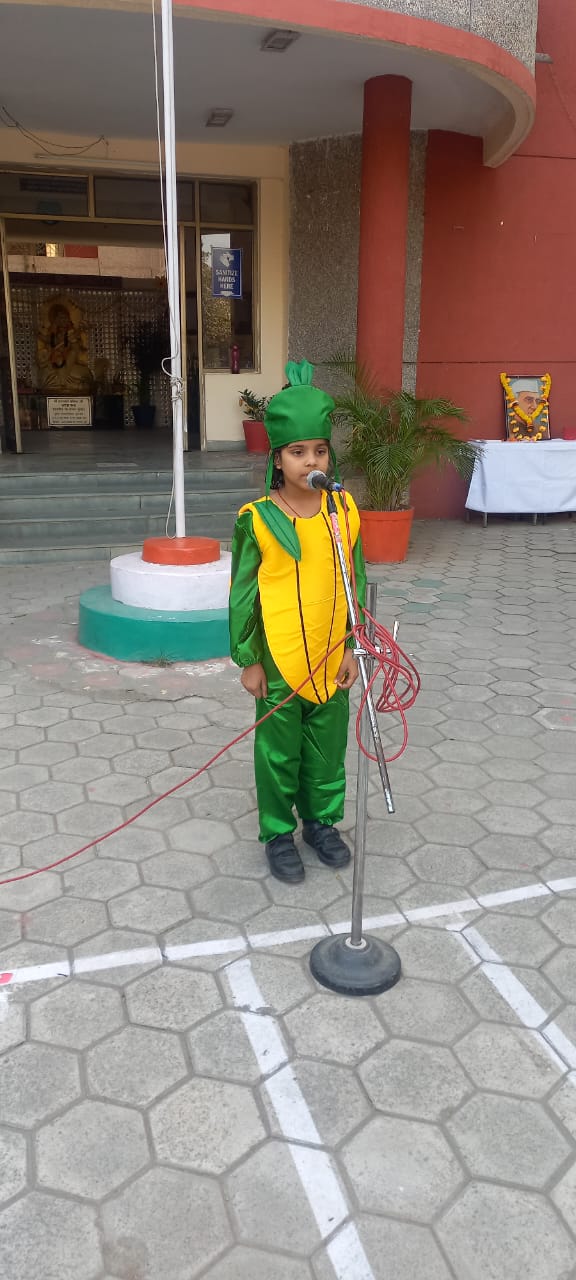 मजेदार दिन