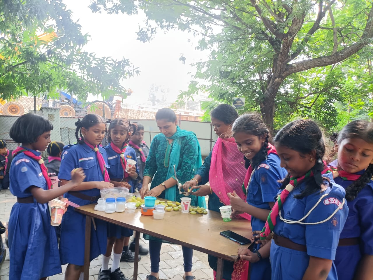 स्काउट और गाइड